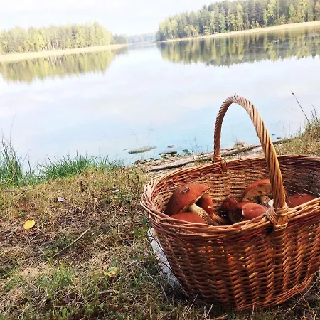 Saimaanharju Country House Maalaistalot *